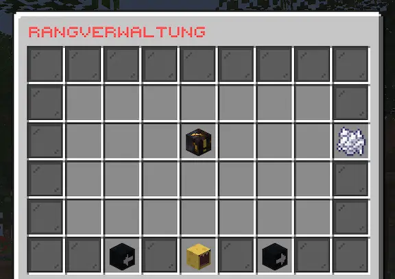 Eigenes Rang System